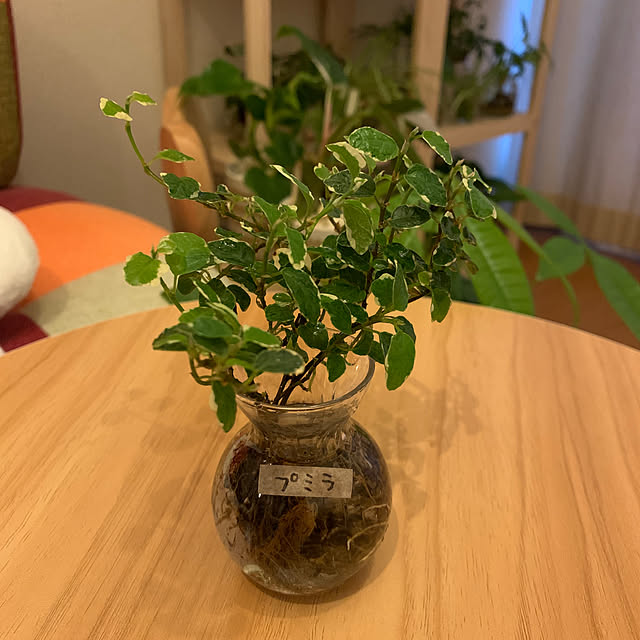 ez33cさんの部屋