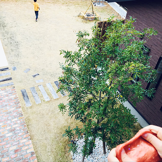 seiさんの実例写真