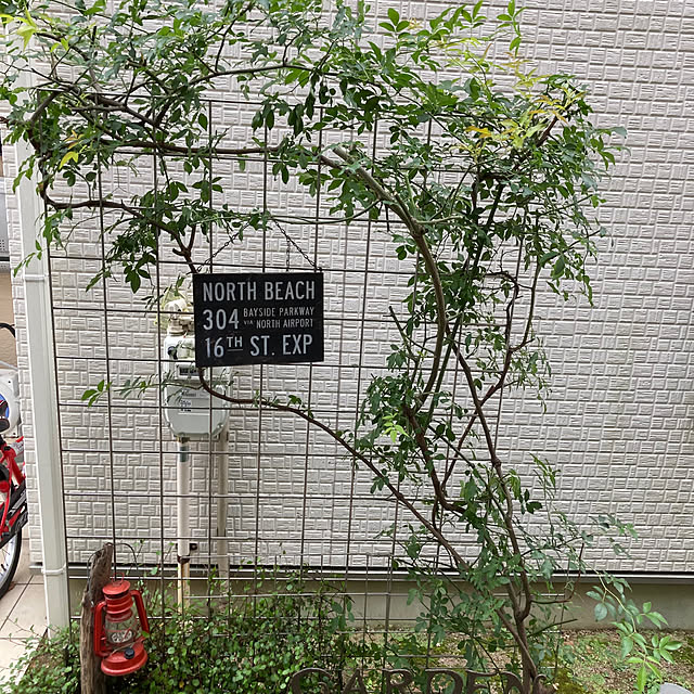 okkunさんの部屋