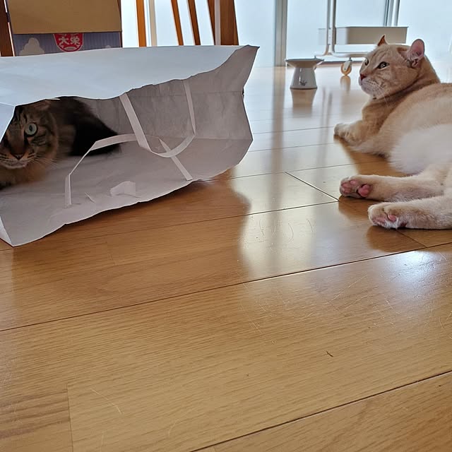 makoさんの部屋