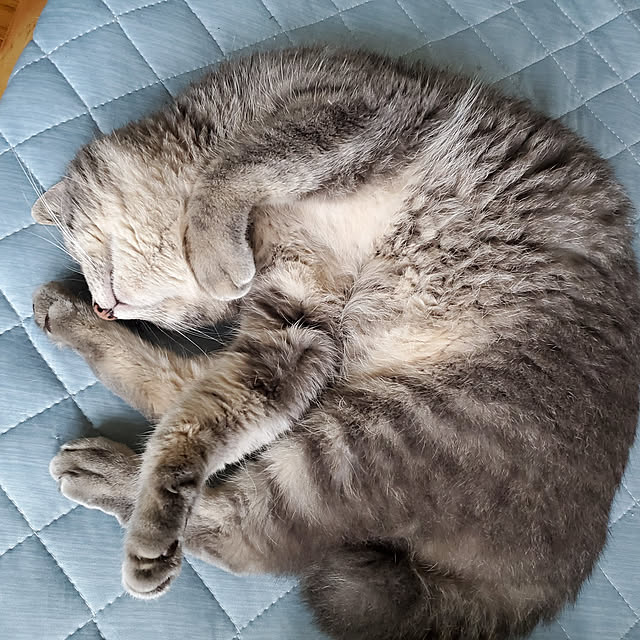 hiroさんの実例写真