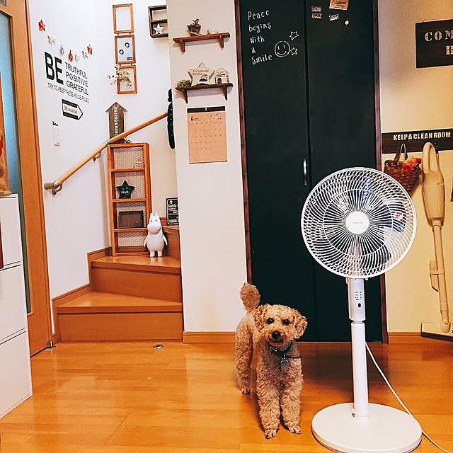 viviさんの実例写真