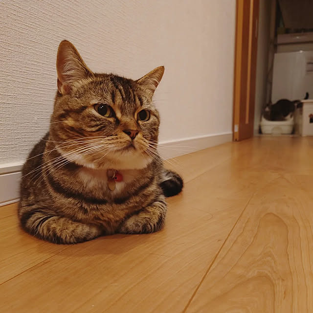 mochicoさんの実例写真