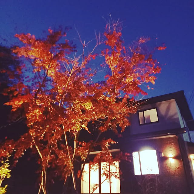 yoko0419.happylifeさんの実例写真