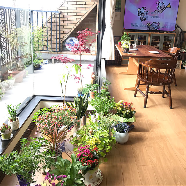 fuyiqian1026さんの実例写真