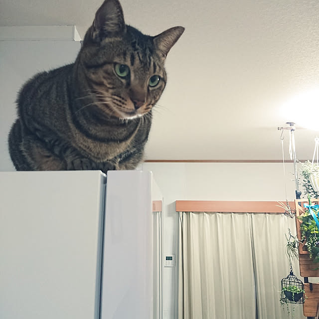 nachiさんの実例写真