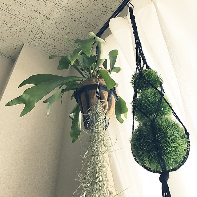 powakyonさんの実例写真