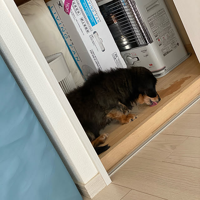 ohanaさんの実例写真