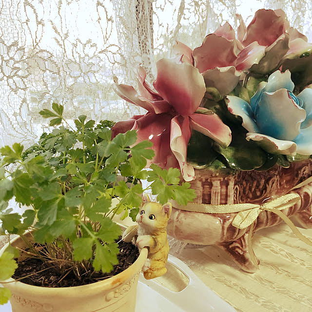 tariranさんの実例写真