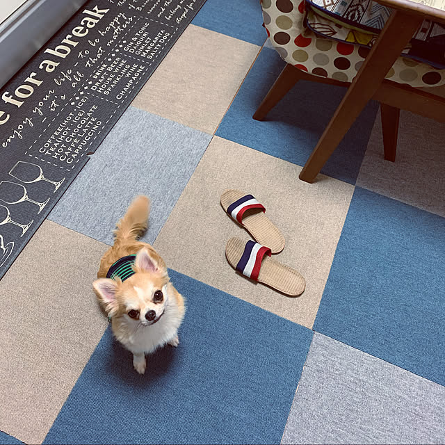 moko7ruiさんの実例写真