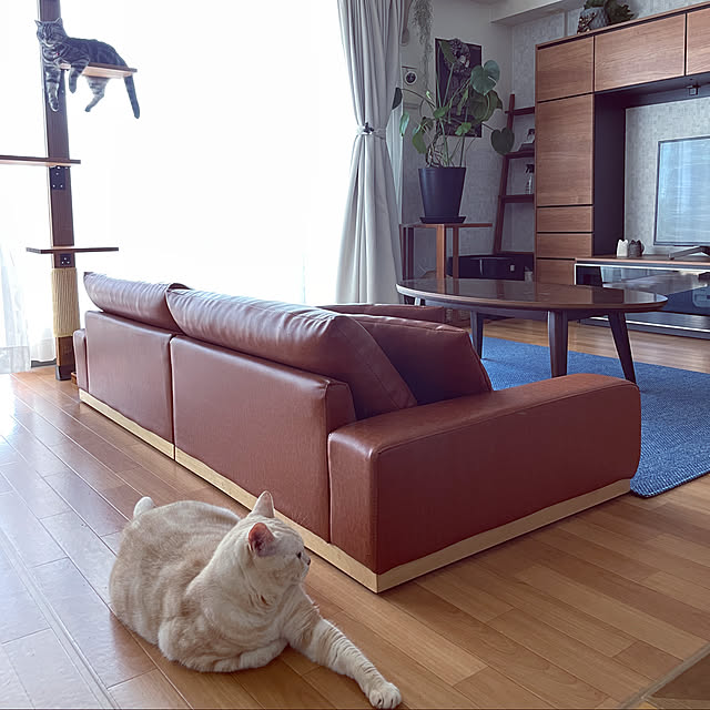 hiyupan88さんの実例写真