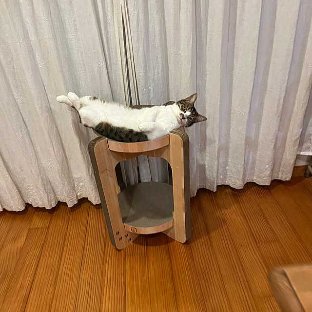 naminamiさんの実例写真