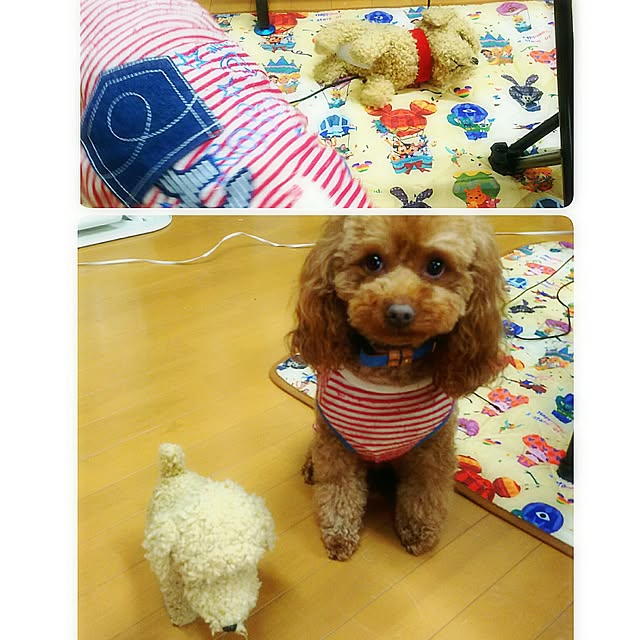 cherrycherryさんの実例写真
