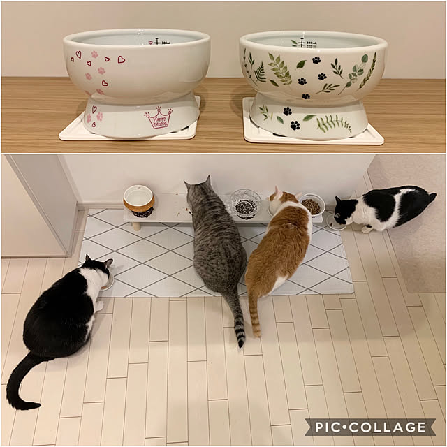 bikkeさんの実例写真