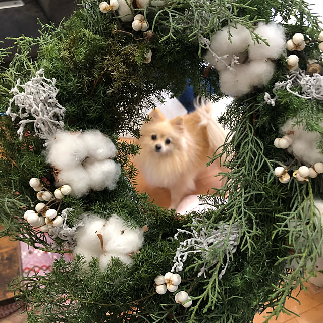t.k.mさんの実例写真