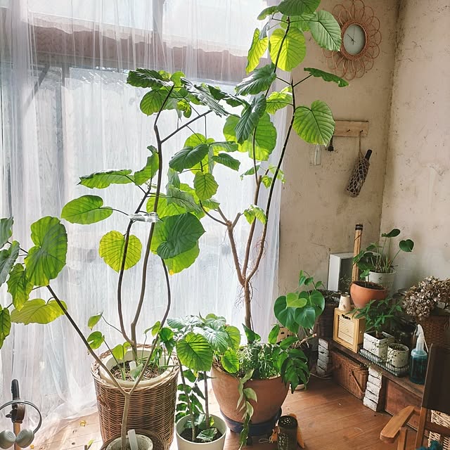 ganchan_0910さんの実例写真