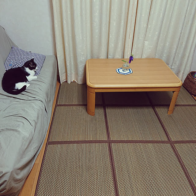 oliveさんの実例写真