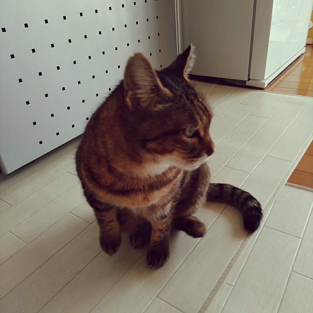 lilyさんの実例写真