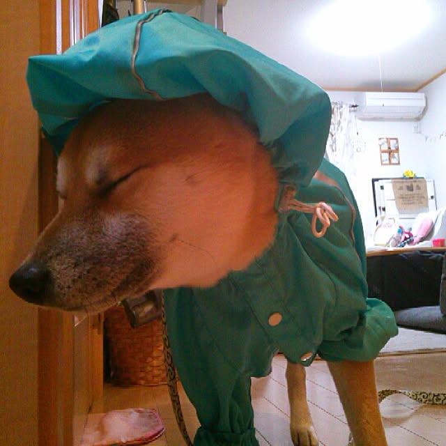 kotaさんの実例写真