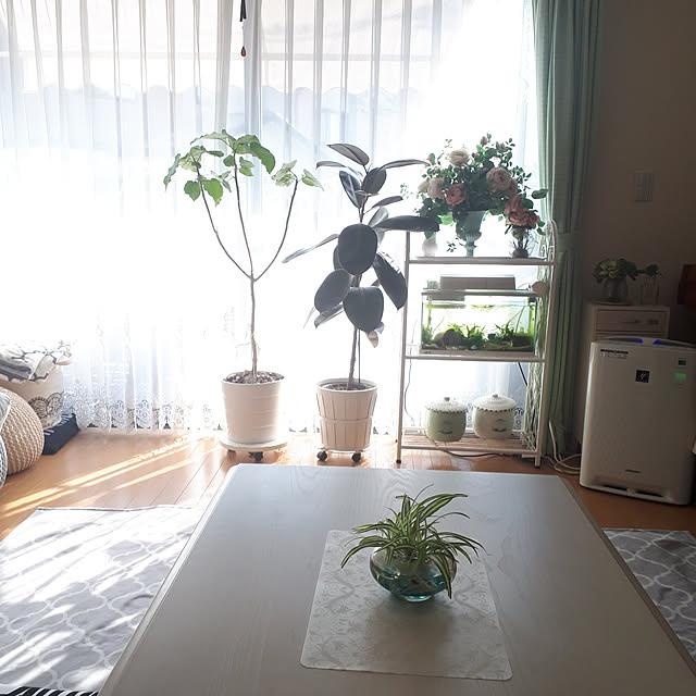 fumikoさんの実例写真
