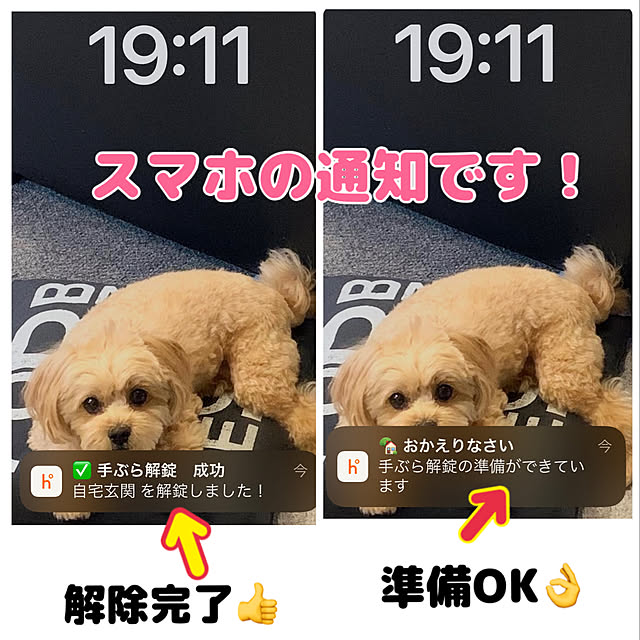 ikt.tamaさんの実例写真