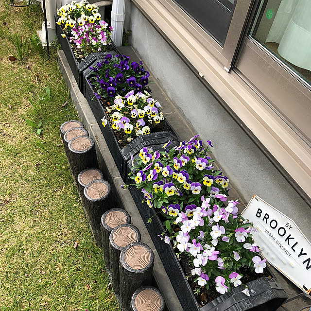 miukiさんの部屋