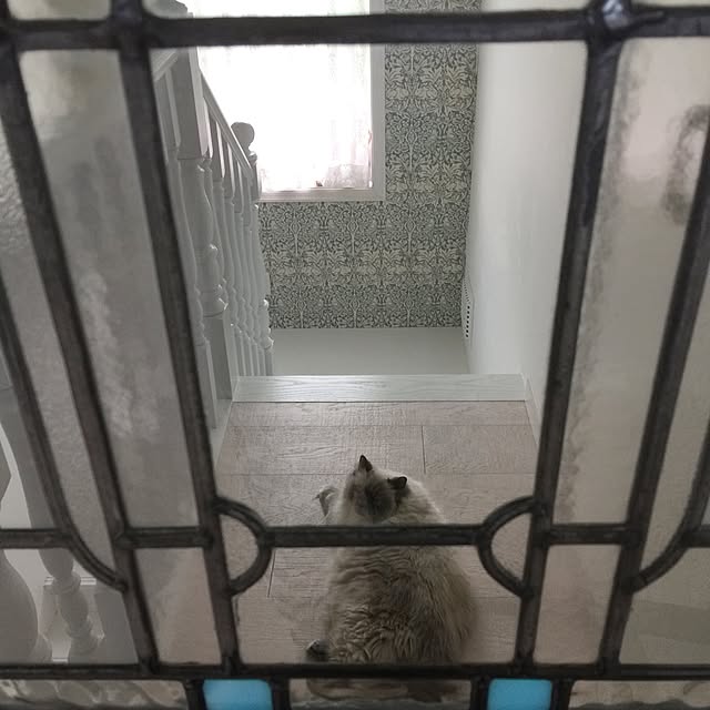 yuchiさんの実例写真
