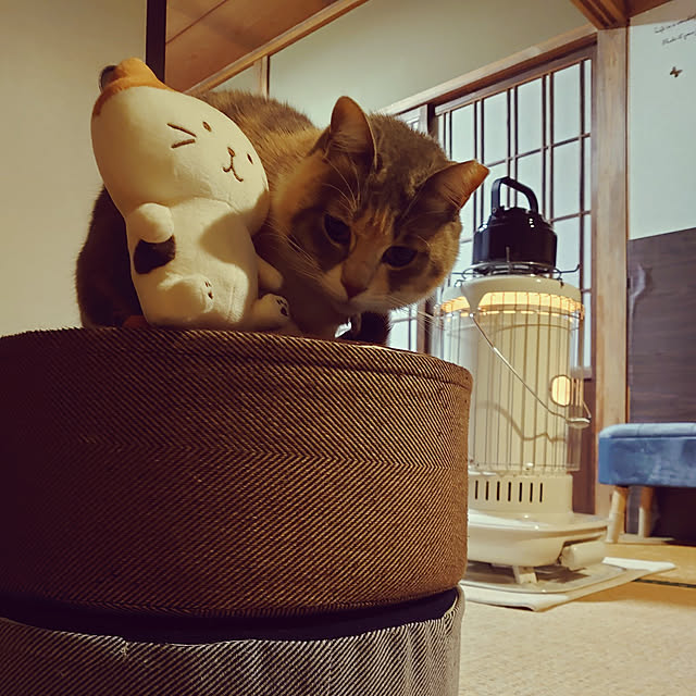 fukuさんの実例写真