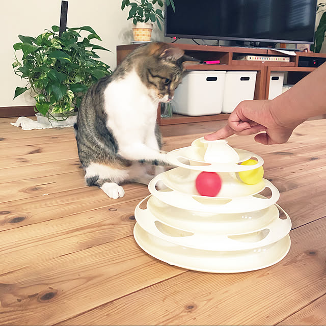 yurari.bonnさんの実例写真