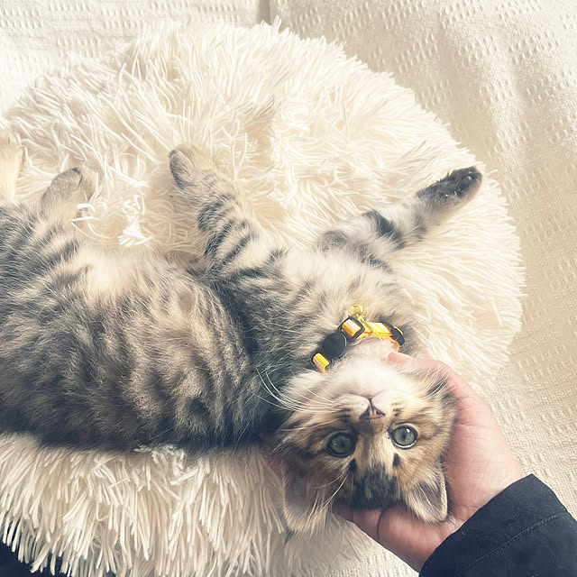 Mさんの実例写真