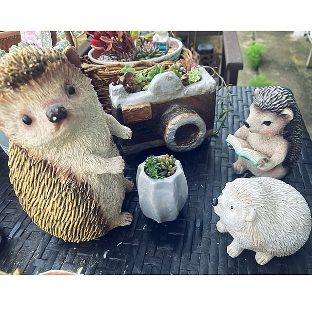 CoCo0617さんの部屋