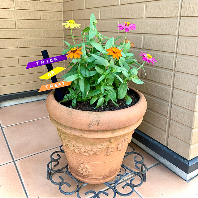 shigurenekoさんの実例写真