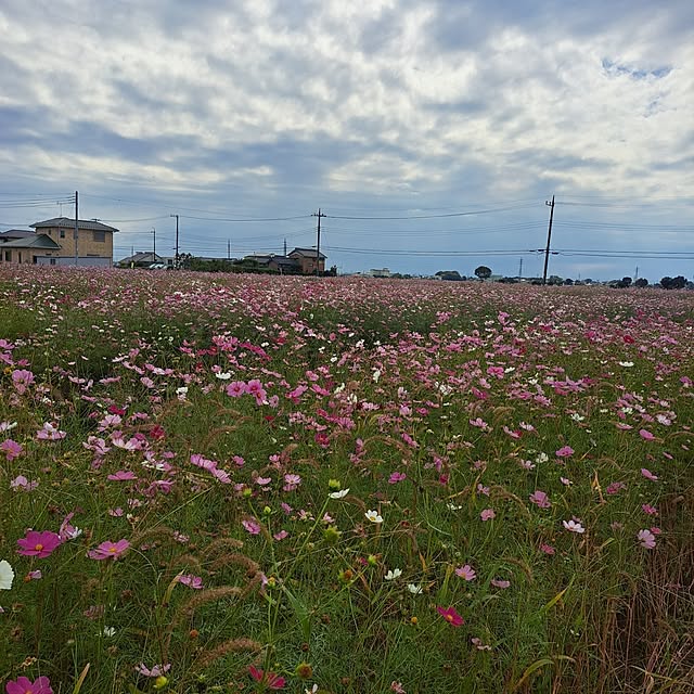tammyさんの部屋