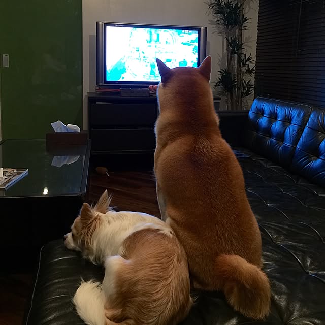 Makikoさんの実例写真