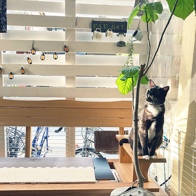 masamasaさんの実例写真