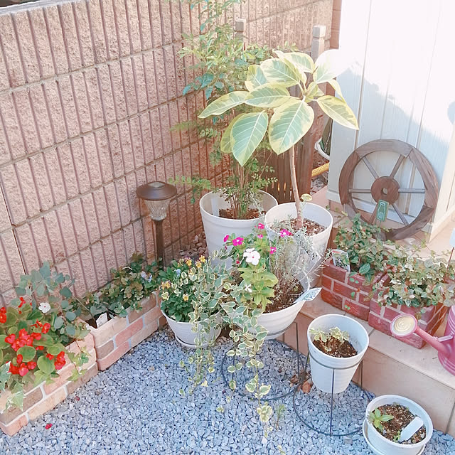 satosanさんの実例写真