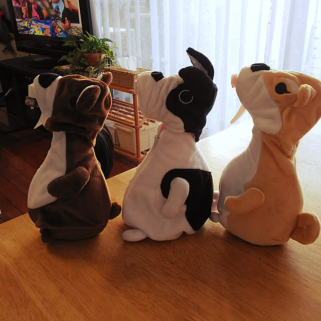 Shochanさんの実例写真