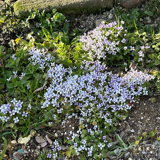 ritsukoさんの部屋