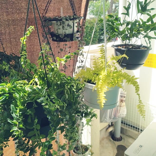 runaさんの部屋