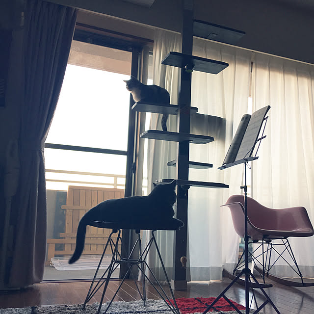 Shojiさんの実例写真