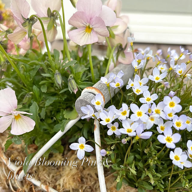 madeleineさんの実例写真