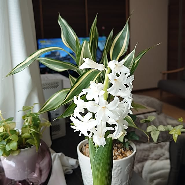 coconathuさんの部屋