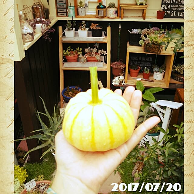 bousuke.215112さんの実例写真