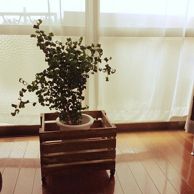 Nikki88さんの実例写真