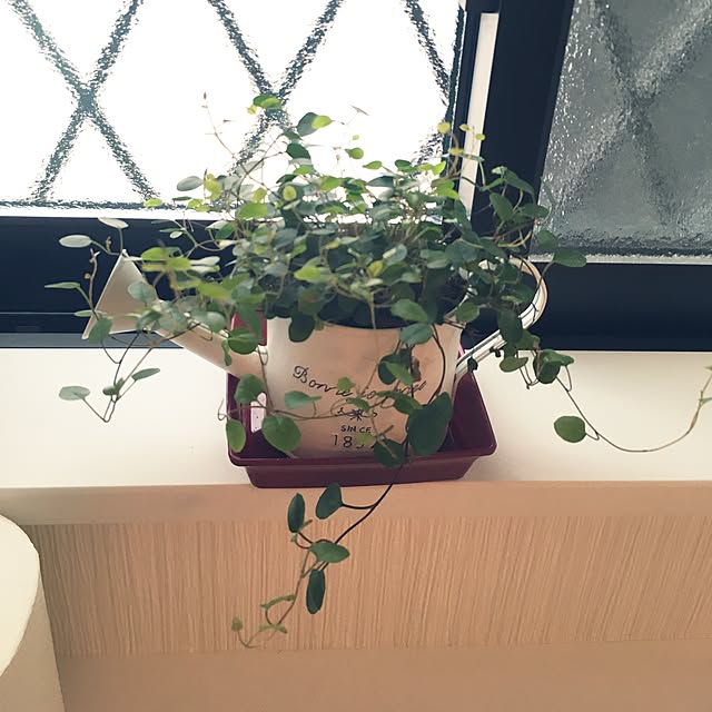 mamemako429さんの実例写真