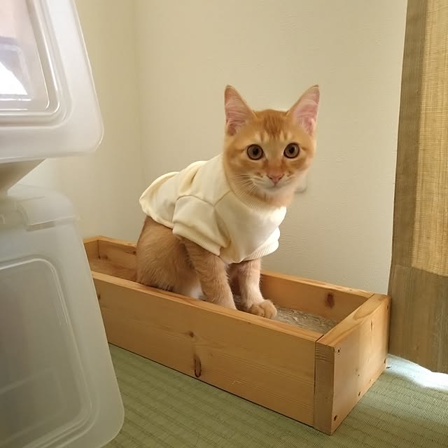 mayutan.さんの部屋