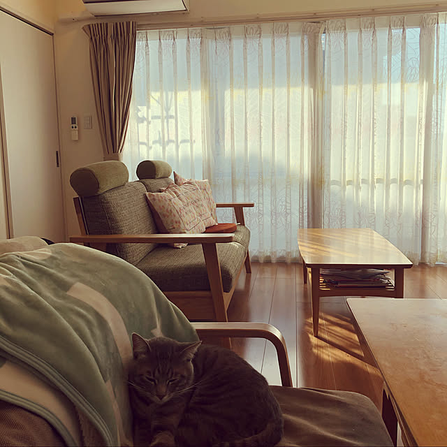 Pisaさんの実例写真