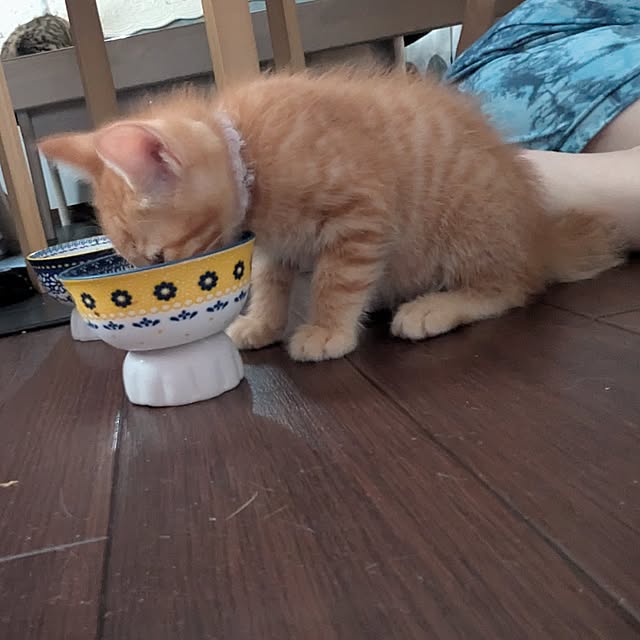 sayaさんの実例写真