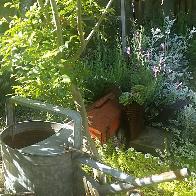 44039ponさんの実例写真