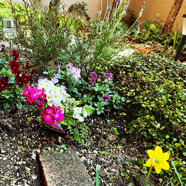 junさんの実例写真